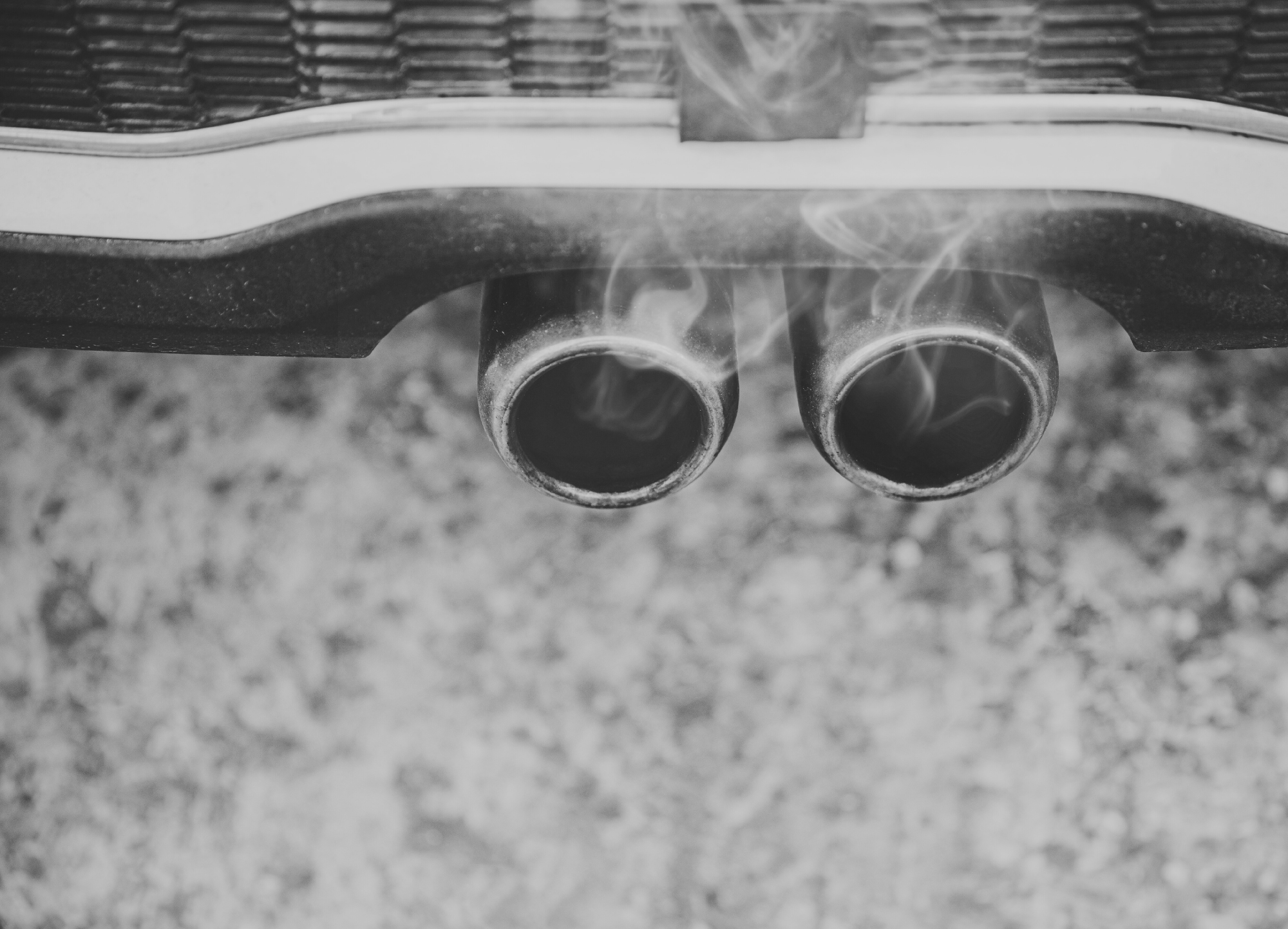 Soll ich ihn korrigieren?